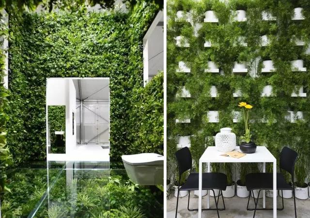 綠植長(zhǎng)在墻上，個(gè)性又省地方！